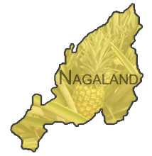 Nagaland Pineapple,India